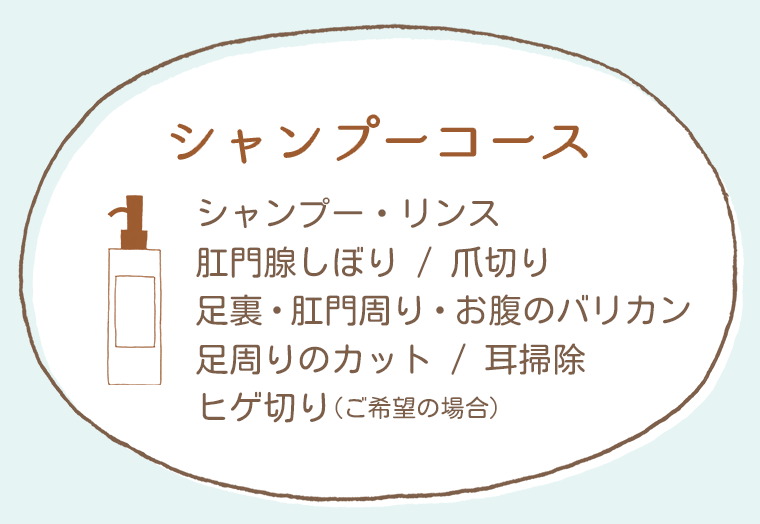 シャンプーコース：福島県郡山市ドッグサロンアサカ