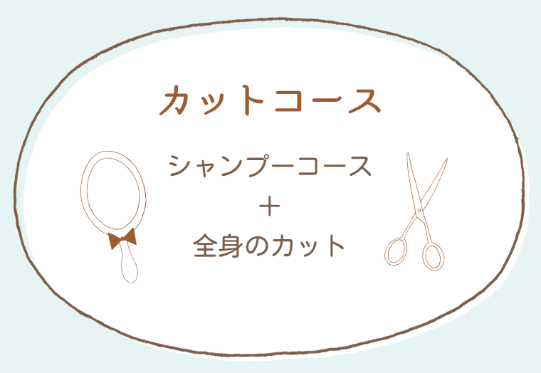 カット・トリミングコース：福島県郡山市ドッグサロンアサカ